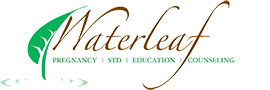 Waterleaf Interview