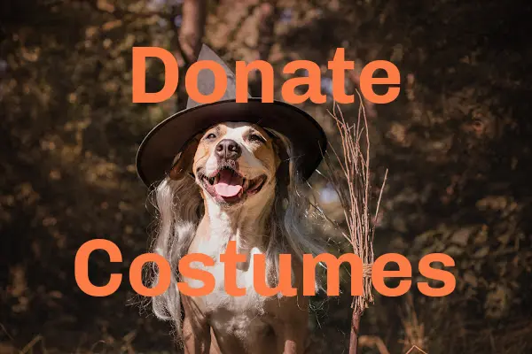 Halloween Costume Echange