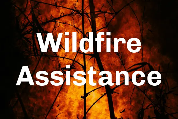 SMI Lenten Project – California Wildfire Assistance