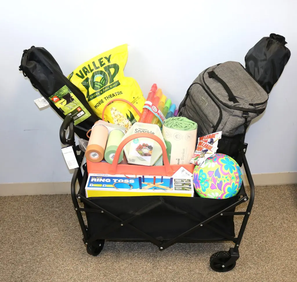 Outdoor Fun Basket