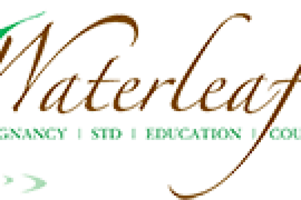 Waterleaf Interview