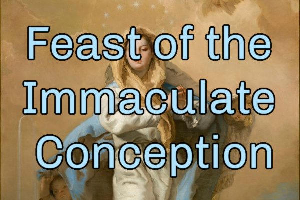 Feast of the Immaculate Conception Mass Schedule